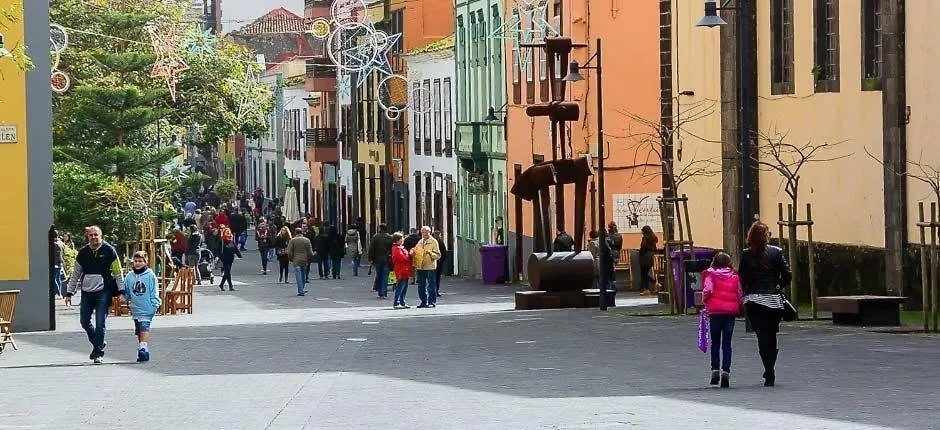 La Trinidad Apartamento La Laguna  España